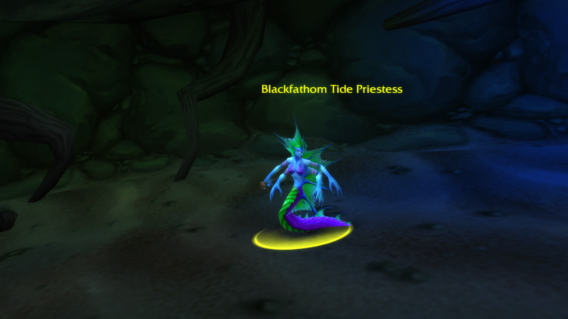 Damp Note Blackfathom Deeps
