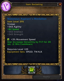 Shadowlands Item to Add a Socket At Appreciative (Exalted) with