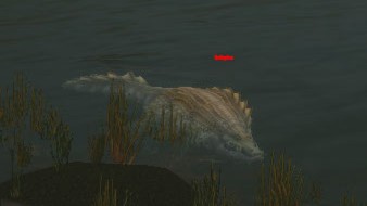 Saltspine