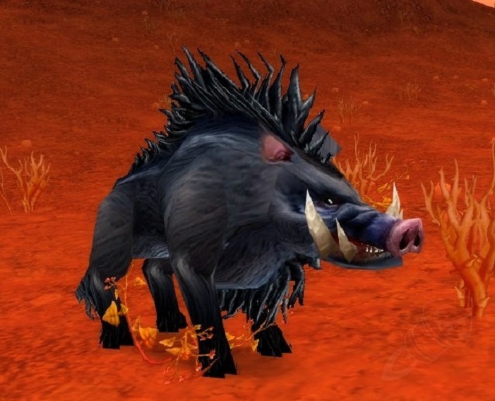 hunter class quests in classic wow  tame beast and first