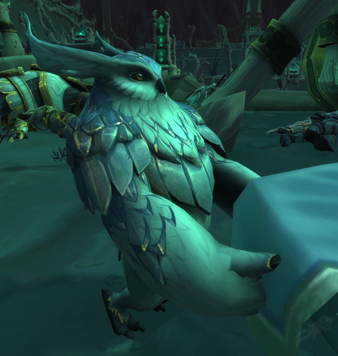 Koa - NPC - World of Warcraft
