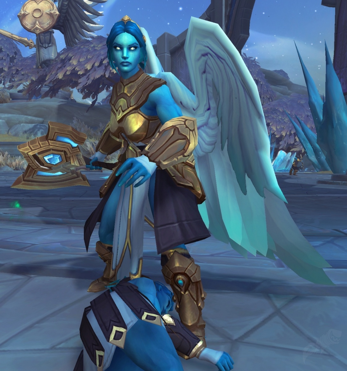 Stalwart Valiant NPC World of Warcraft