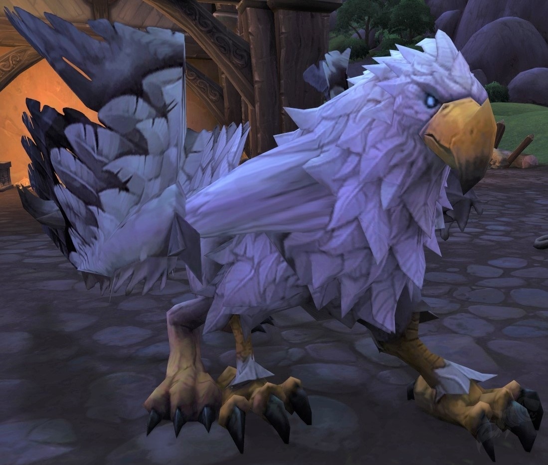 Storm’s Feather - NPC - World of Warcraft