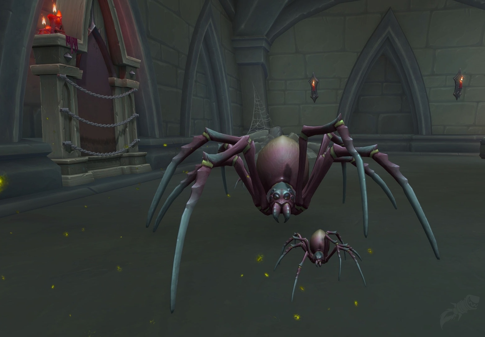 Dread Spiderling NPC World of Warcraft