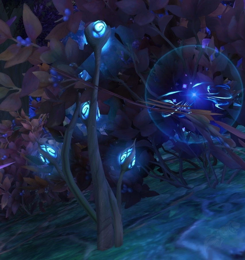 Lunarlight Bud NPC World of Warcraft