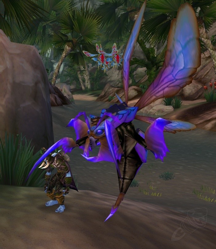 Wasp - Hunter Pet - WotLK Classic