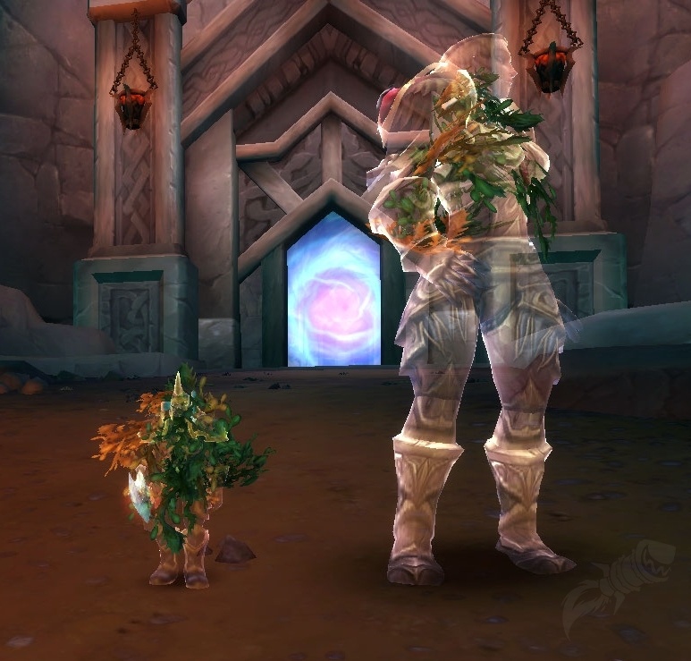 Kvaldir Disguise Spell World of Warcraft