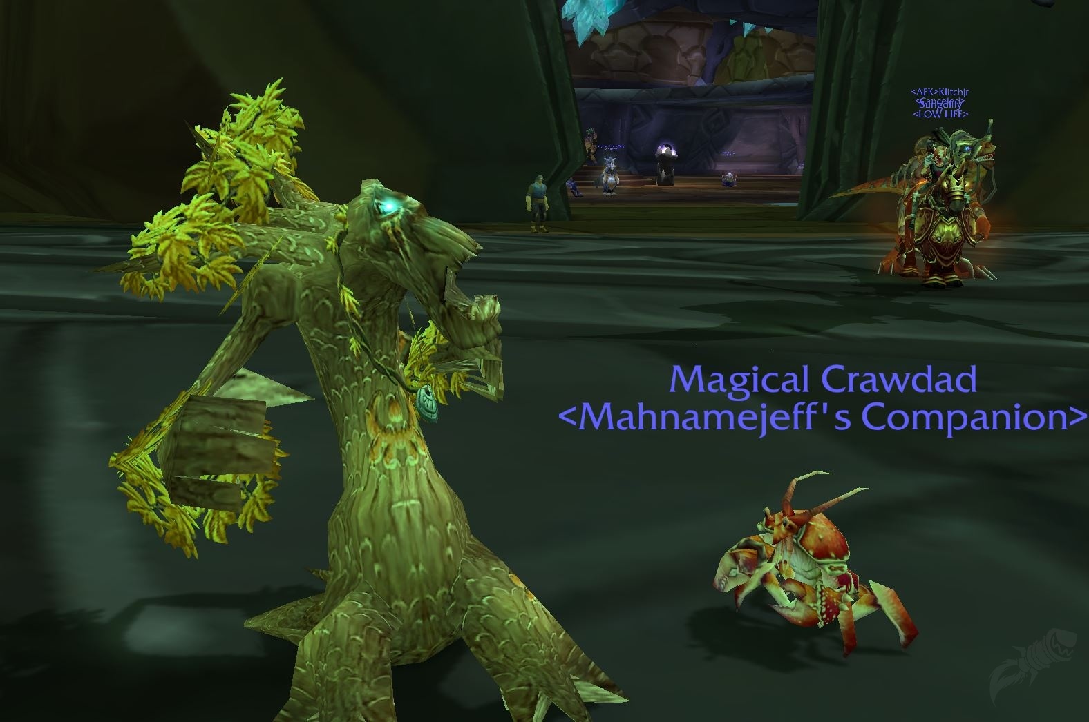 Kasten mit magischem Flusskrebs Gegenstand WotLK Classic