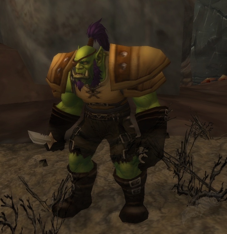 Ragged Jong - NPC - World of Warcraft