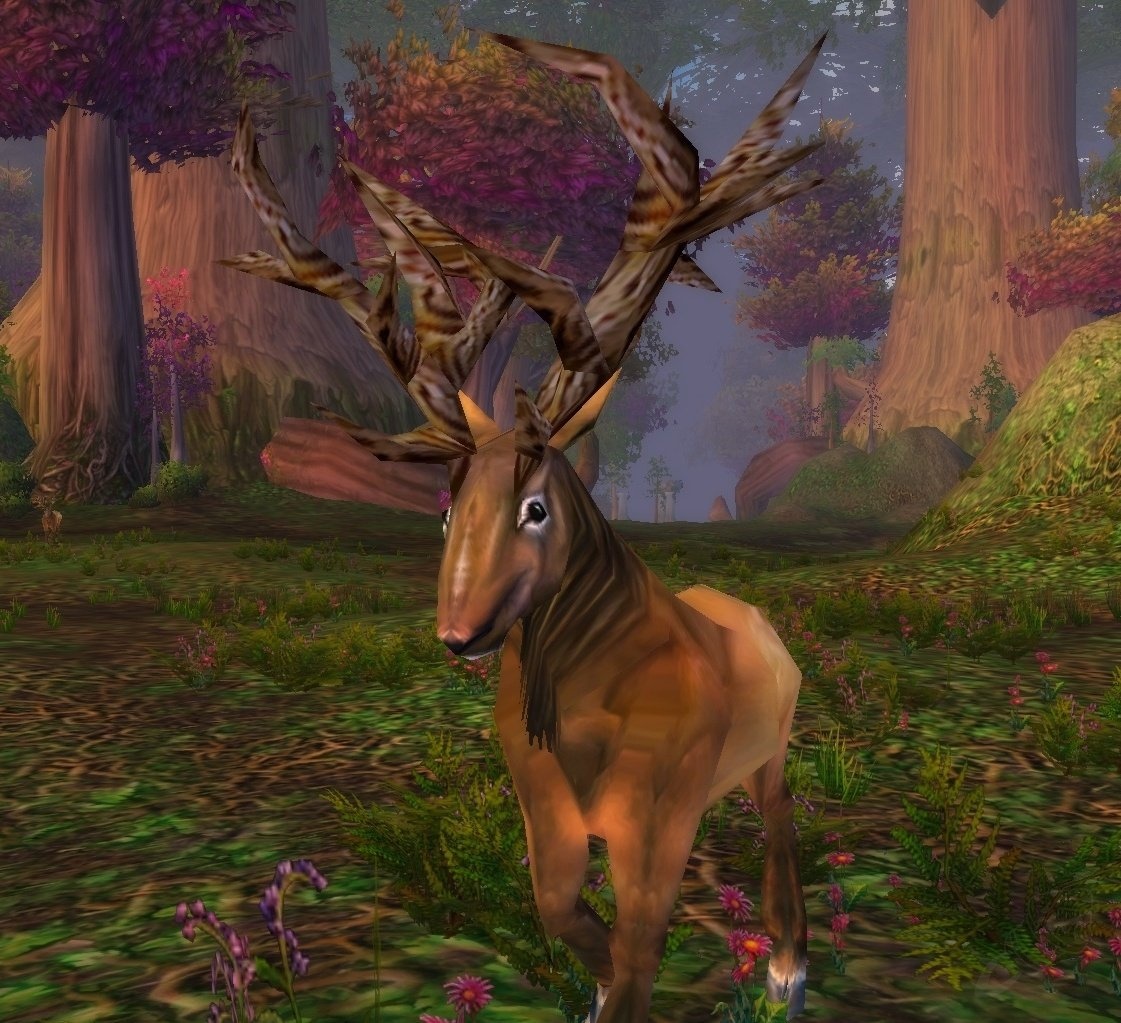 Wild Buck - NPC - Classic World of Warcraft