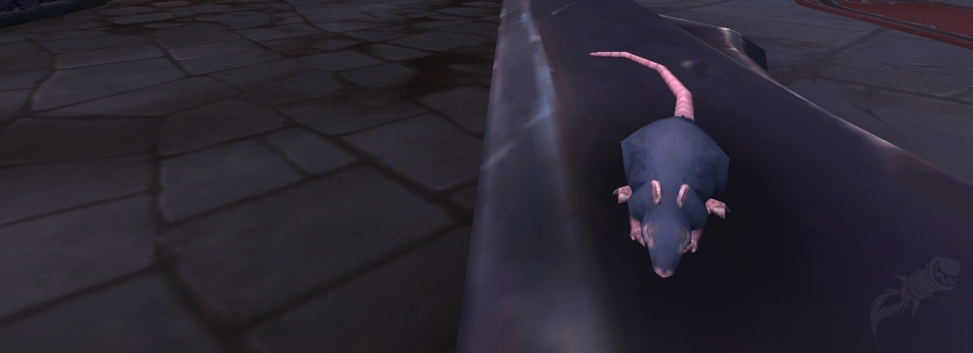 Muck Rat - NPC - World of Warcraft