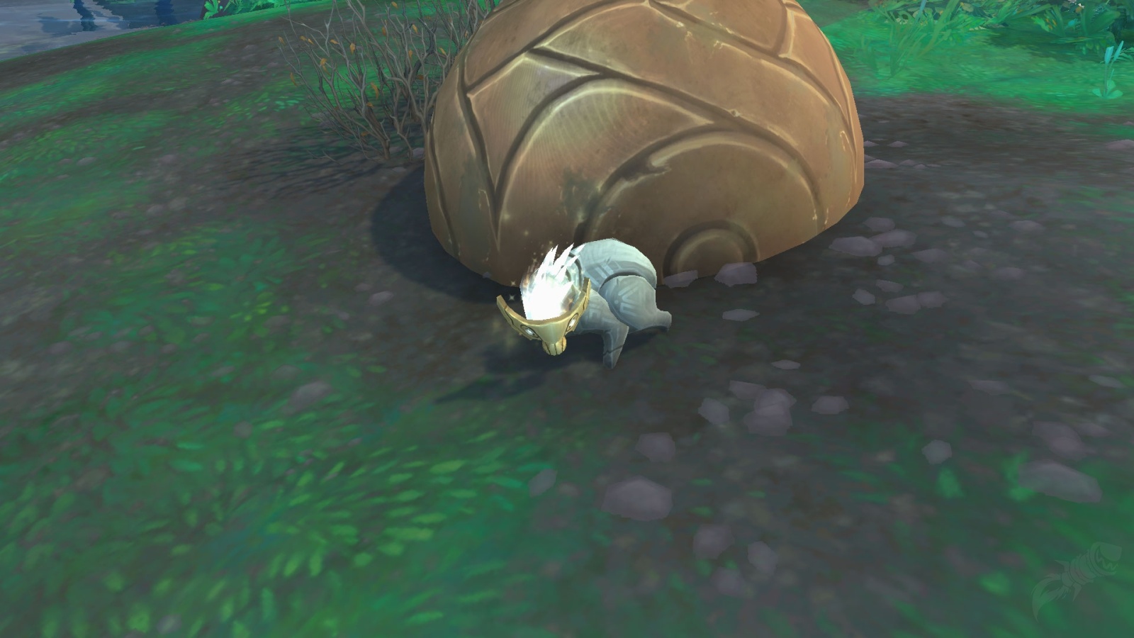 Frightened Vombata Cub NPC World of Warcraft