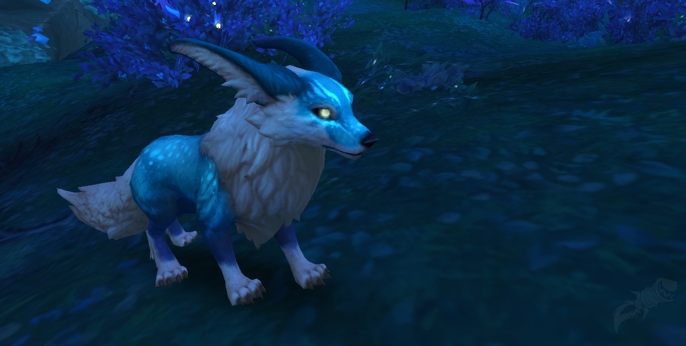 Vulpkanin Ref Beckenvulpin - NPC - World of Warcraft
