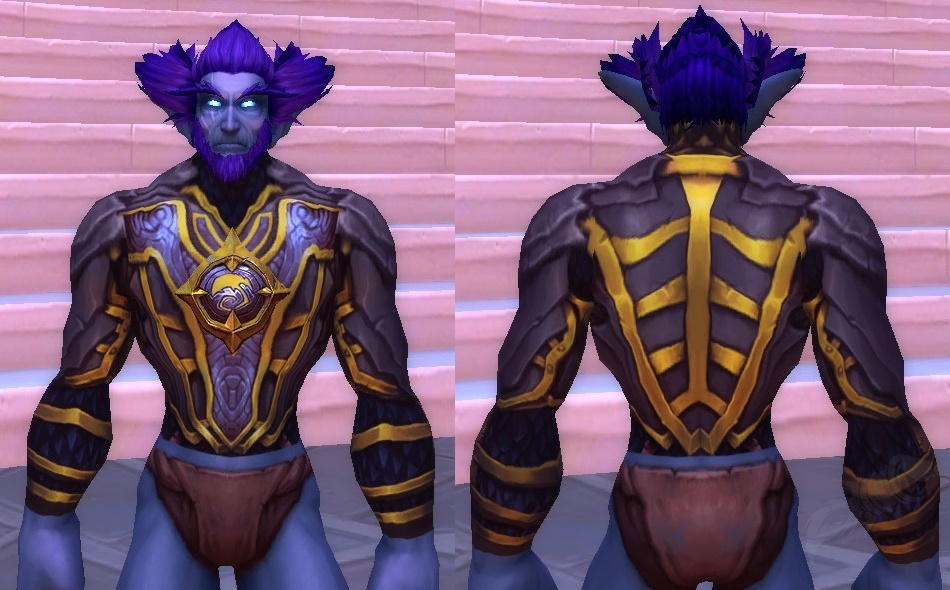 Chestplate of the Obsidian Aspect Item World of Warcraft