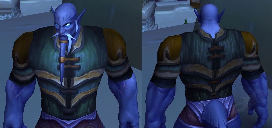 Longstrider's Vest - Item - World of Warcraft