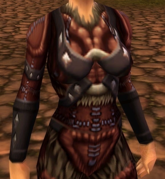 Supple Vest of the Bloodletter Item World of Warcraft