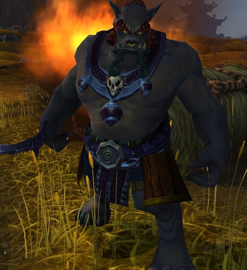 Dokani Shadowblade NPC World of Warcraft