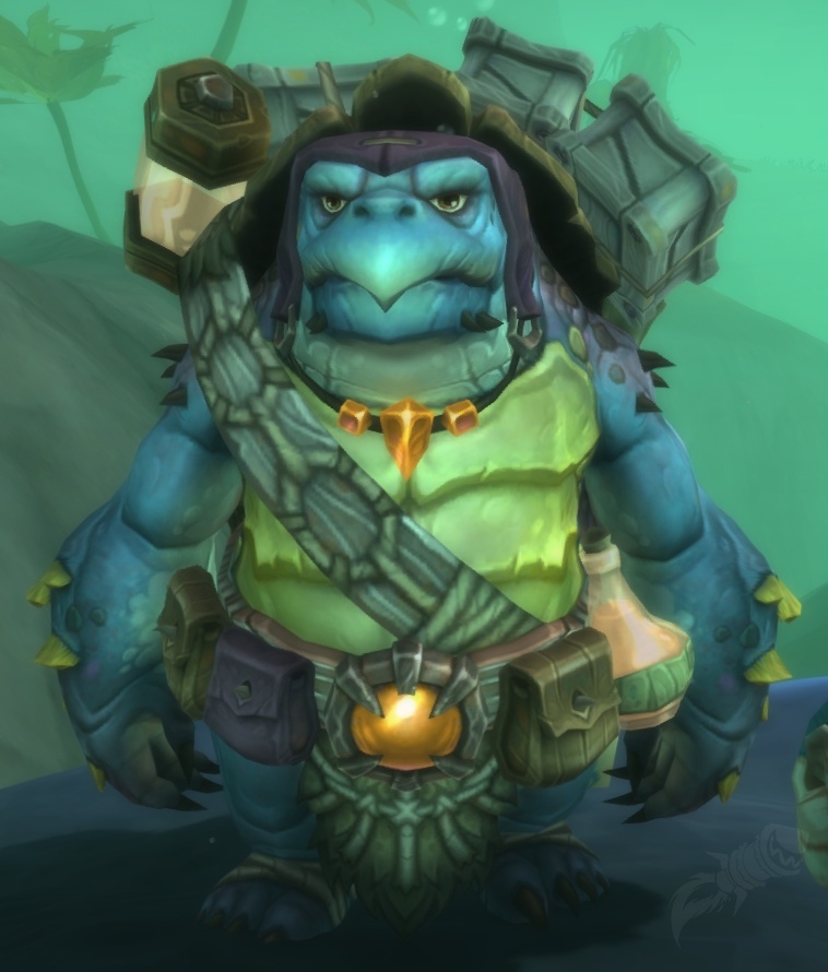 Kajiki NPC World of Warcraft