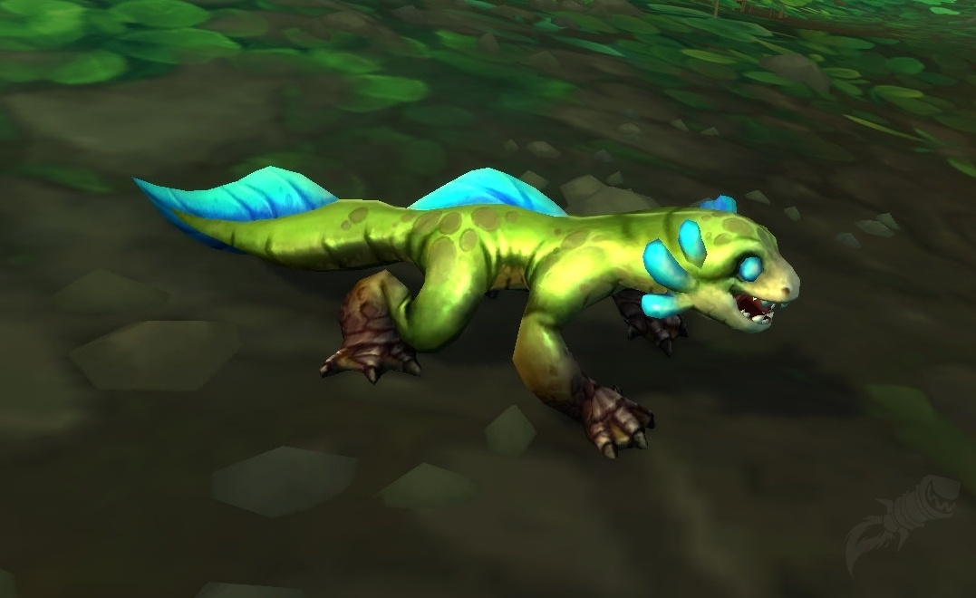 Frilled Hatchling Npc World Of Warcraft