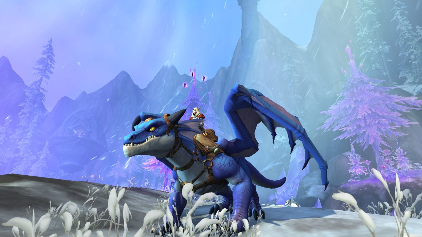 Highland Drake Item World Of Warcraft