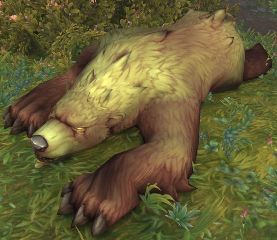 Dead Bear - NPC - World of Warcraft