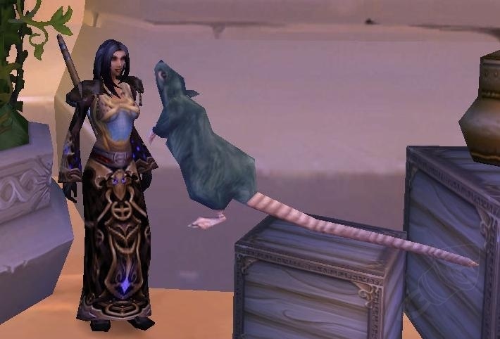 Rato Gigante de Esgoto - Item - WotLK Classic