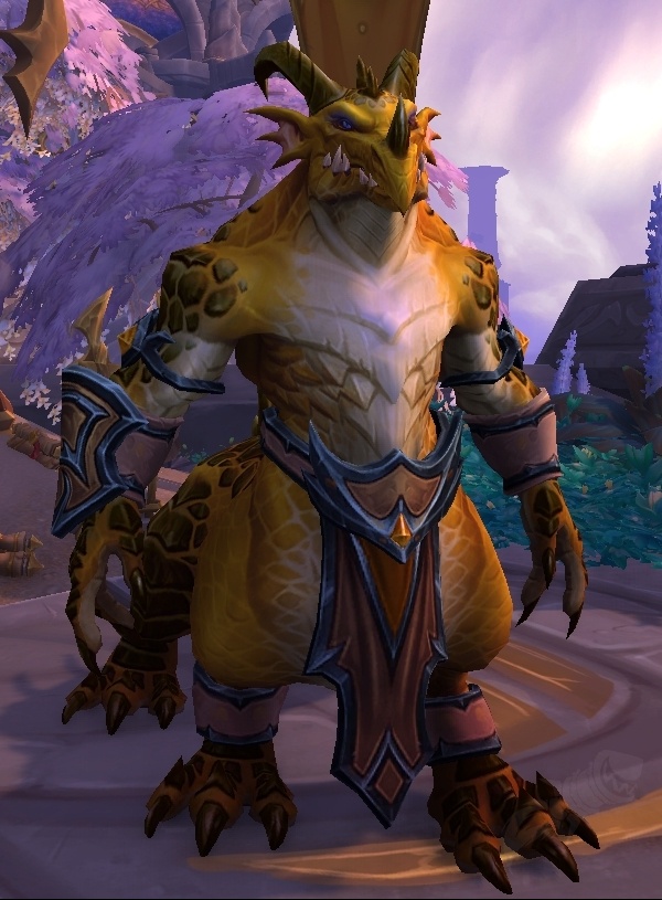 [Bronze Dragonflight Alumni] NPC 월드 오브 워크래프트