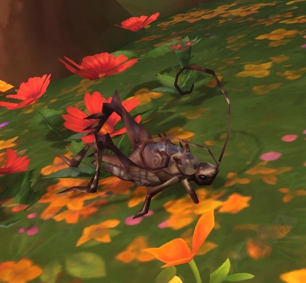Jubilant Cricket NPC World of Warcraft