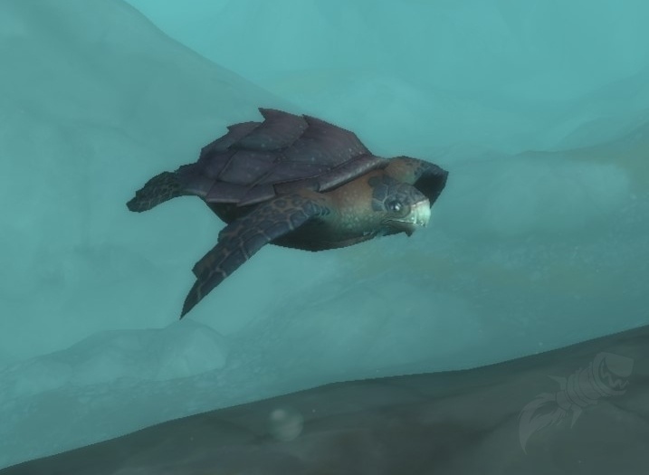 Sea Turtle NPC World of Warcraft