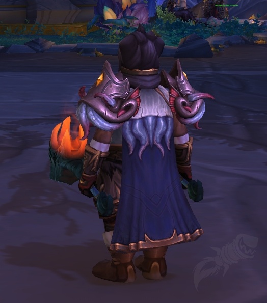 Slightly Corrupted Cloak Spell World of Warcraft