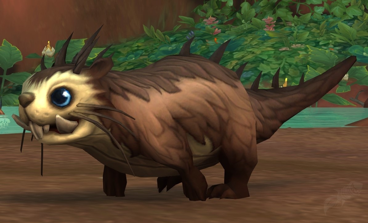 Baby Ottuk - NPC - World of Warcraft