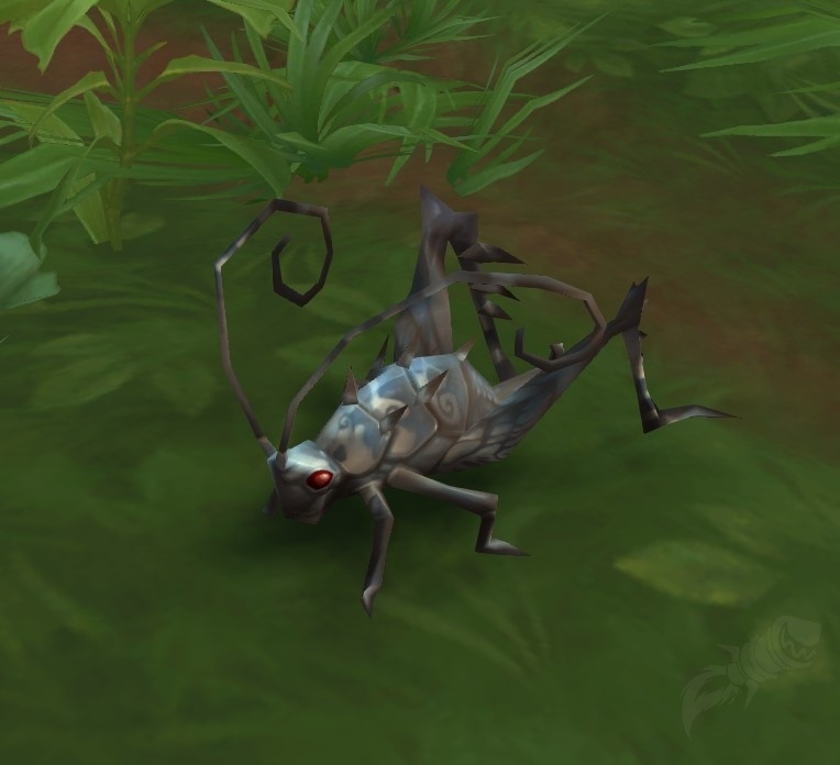 Waking Cricket NPC World of Warcraft