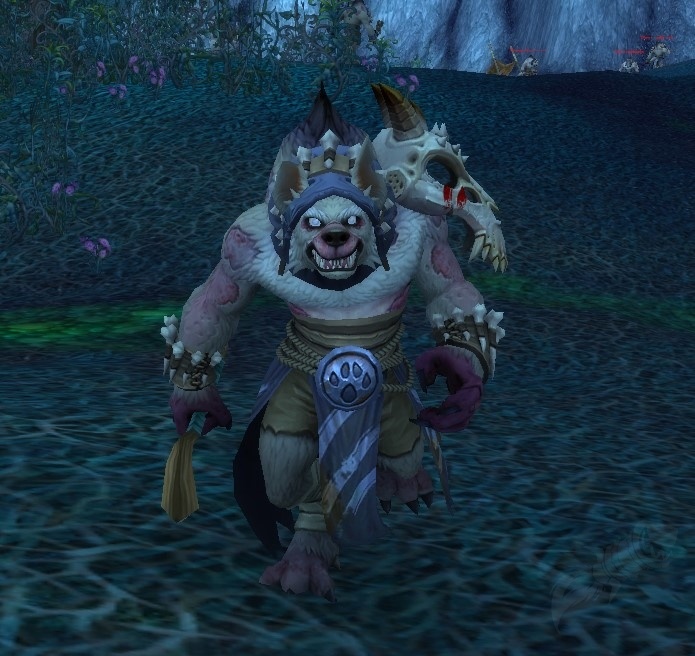 Schamane der Schwarzpfoten NPC World of Warcraft