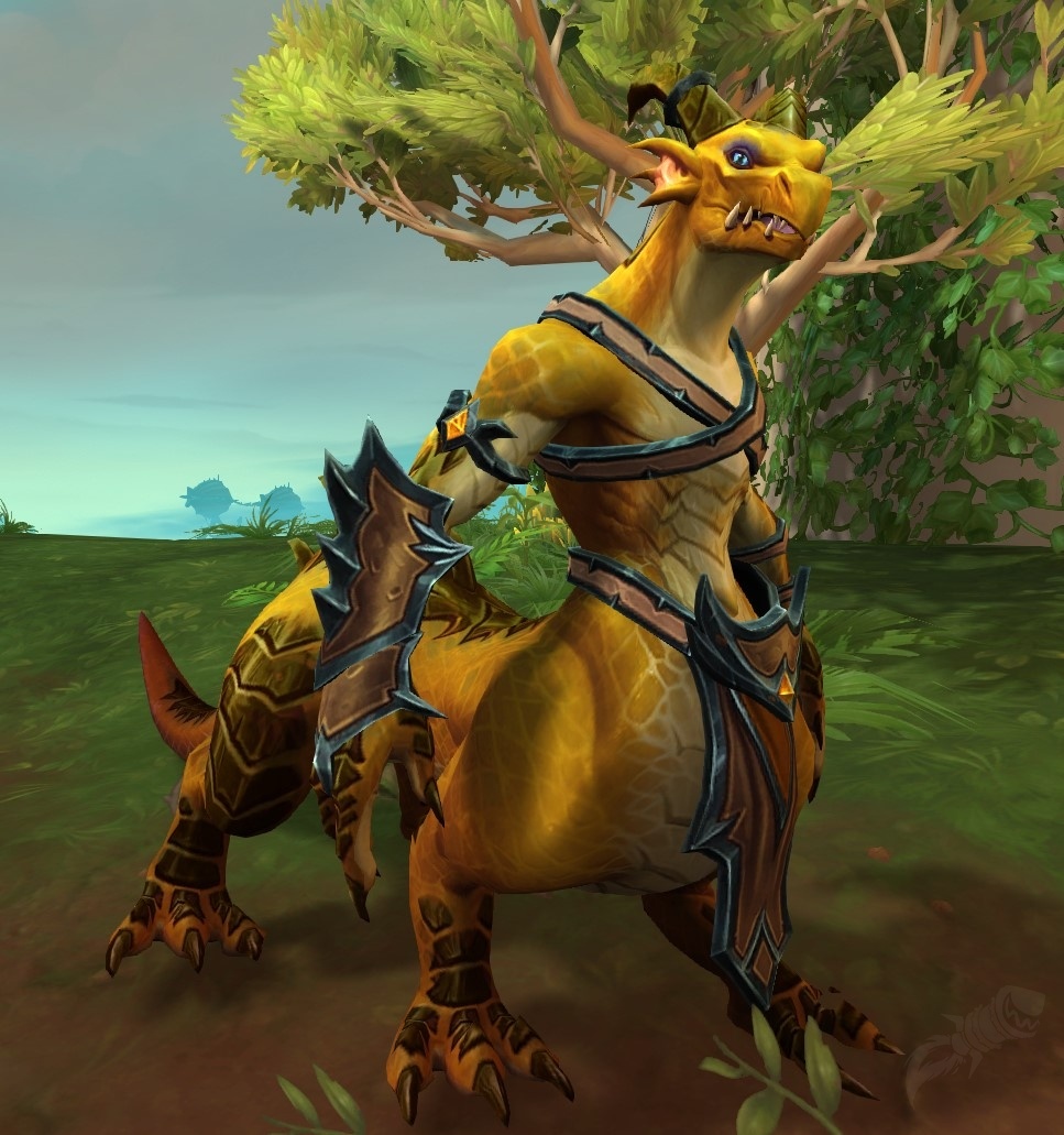 Bronze Timekeeper NPC World of Warcraft