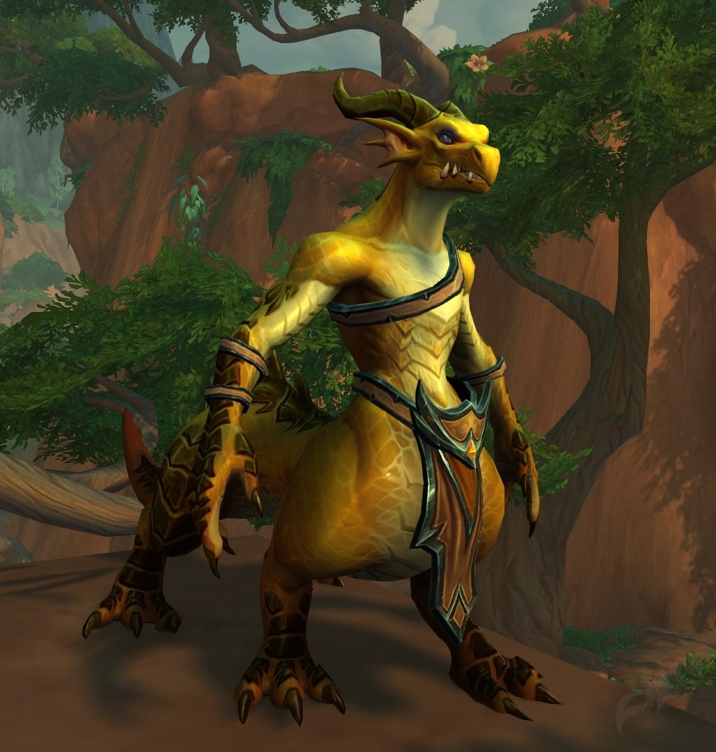 Bronze Timekeeper NPC World of Warcraft