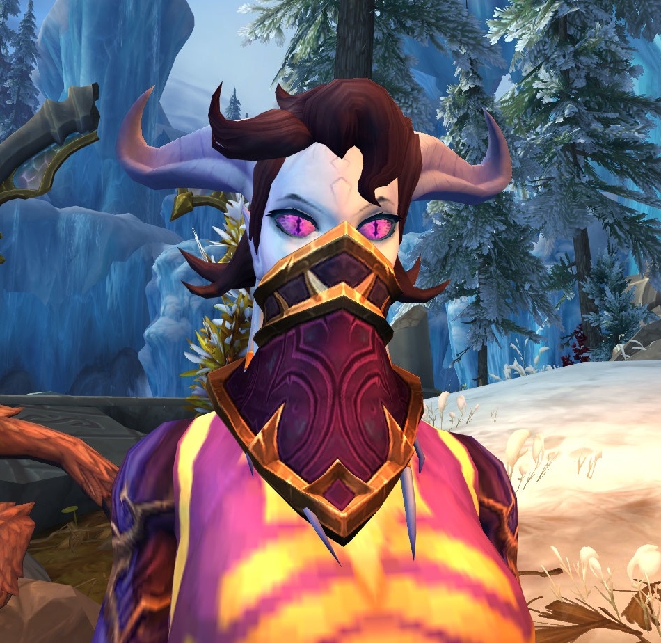 Kirin Tor Protector - Npc - World Of Warcraft