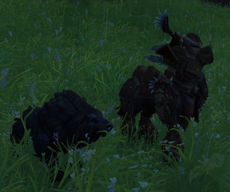 Huntmaster Yrgena NPC World of Warcraft