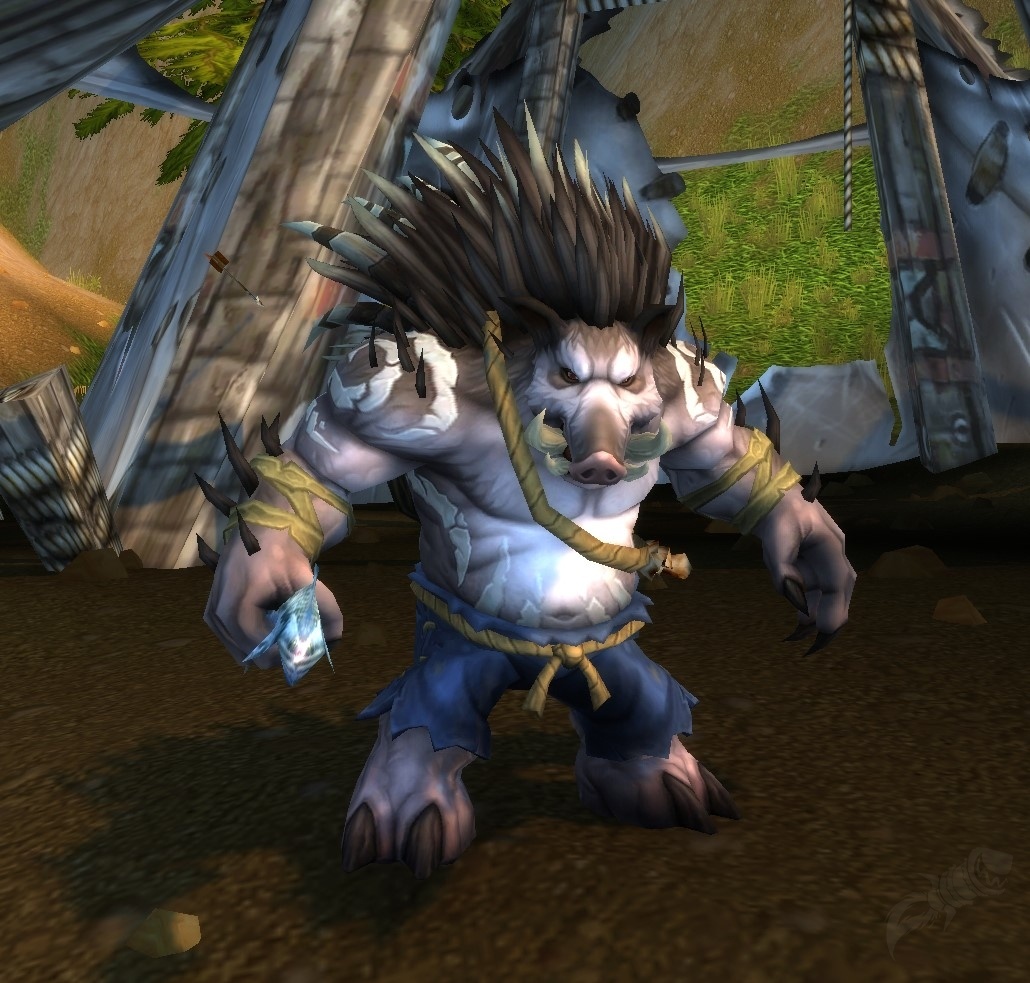 "Pokey" Thornmantle NPC World of Warcraft