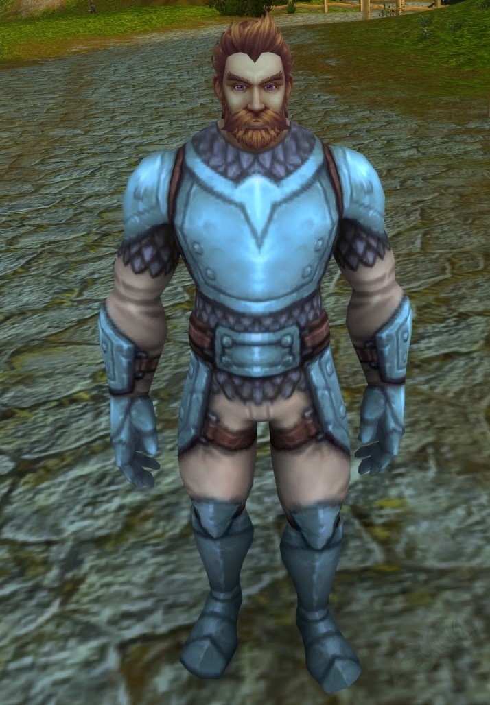 Stalwart Recruit NPC World of Warcraft