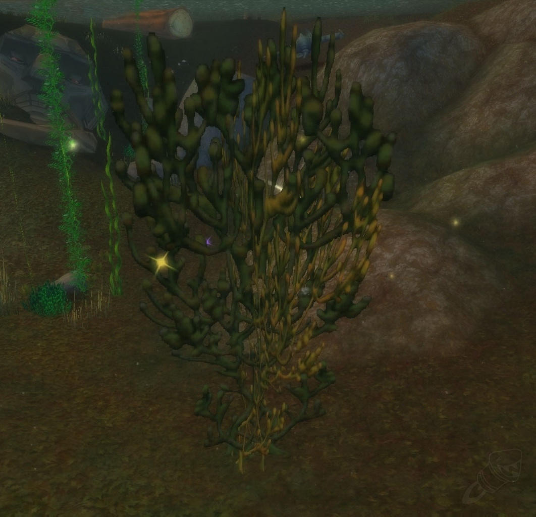 Vial of Visions Quest World of Warcraft