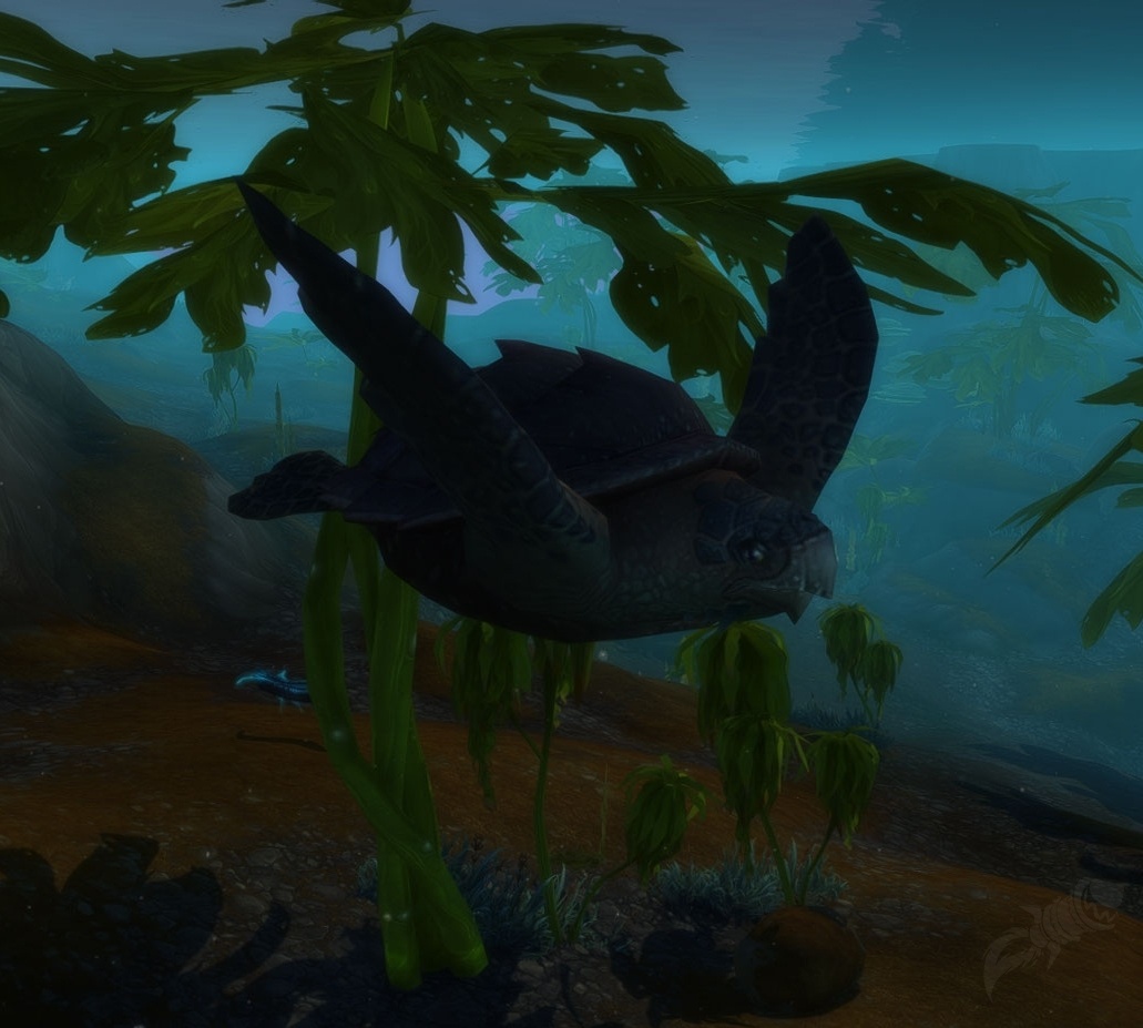 Baby sea turtle npc world of warcraft