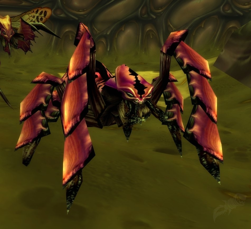 Zukk'ash Tunneler NPC World of Warcraft