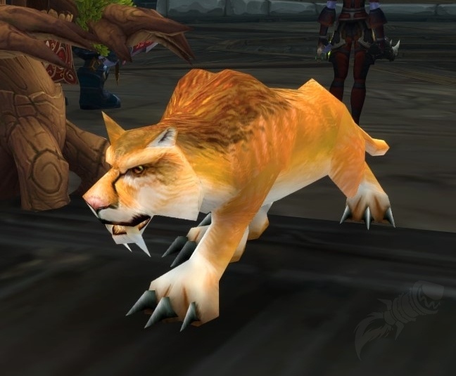 Cat - NPC - World of Warcraft