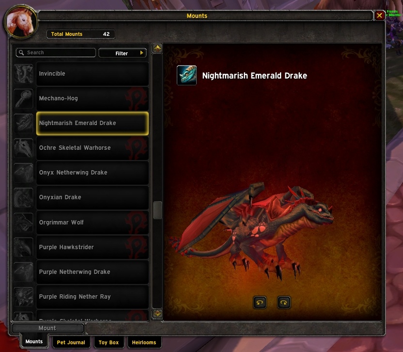The NEW 12 Month WOTLK Flying Mount! 