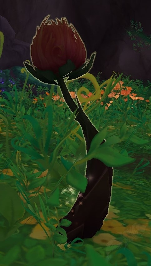 [Blackened Sprout]—NPC—魔兽世界