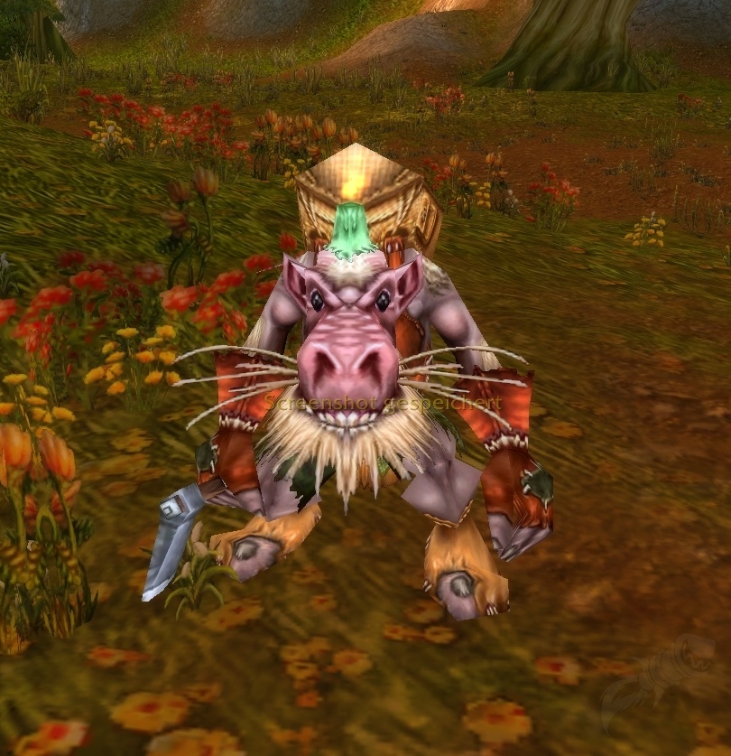 Ruklar the Trapper - NPC - Classic World of Warcraft