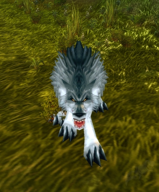 Gray Forest Wolf - NPC - Cataclysm Classic