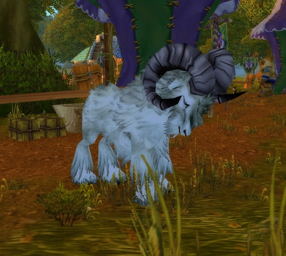 Khaz Modan Ram - NPC - WotLK Classic