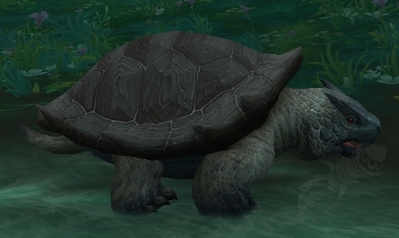 Slumberpod Turtle - NPC - World of Warcraft