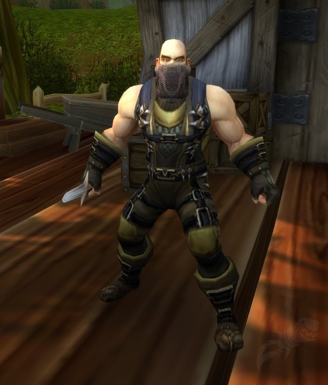 Bodyguard NPC World of Warcraft